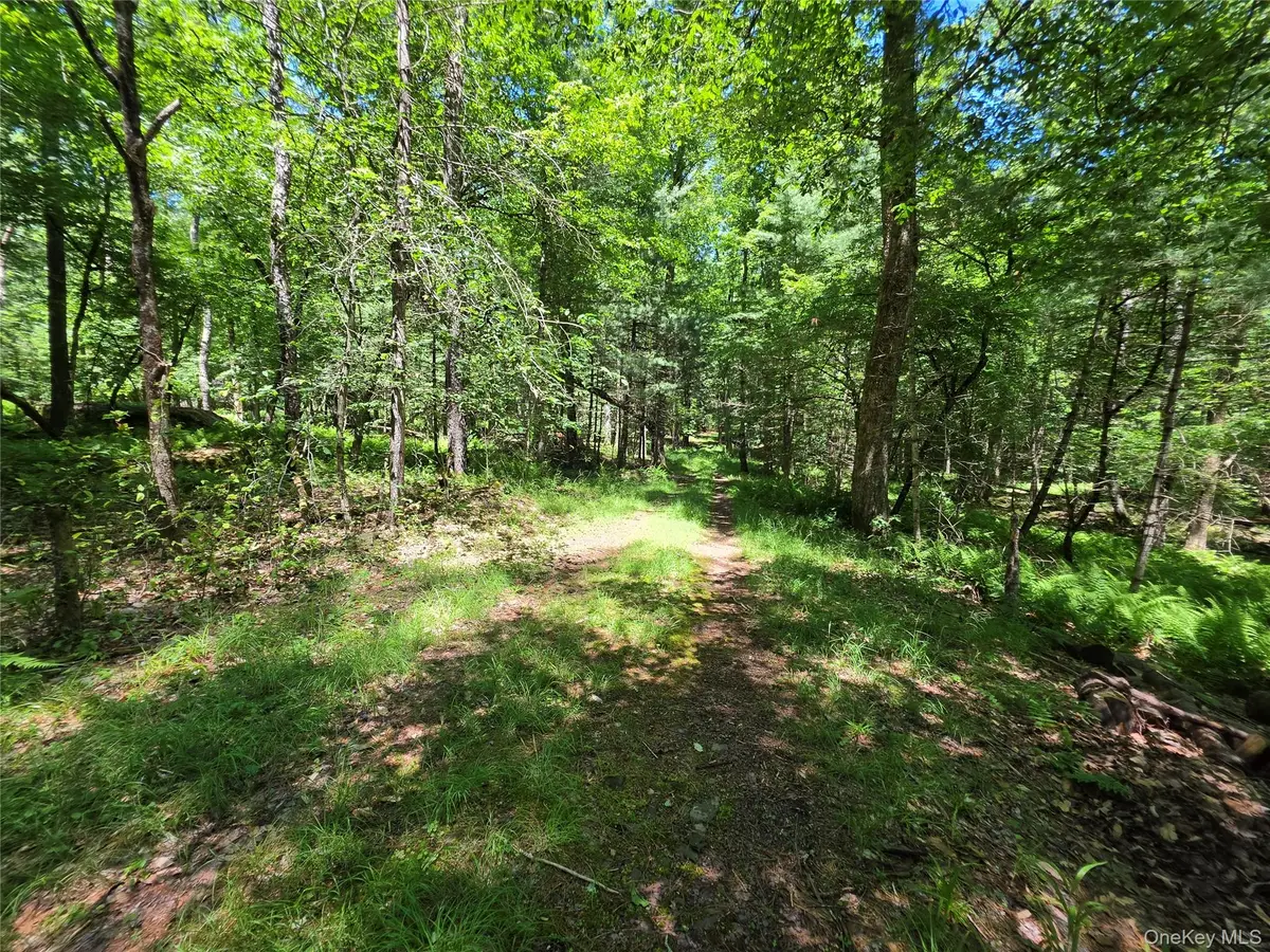 TBD Camp Kennybrook Road, Monticello, NY 12701 - #1