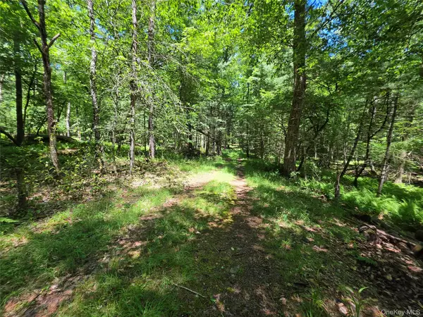 TBD Camp Kennybrook Road, Monticello, NY 12701