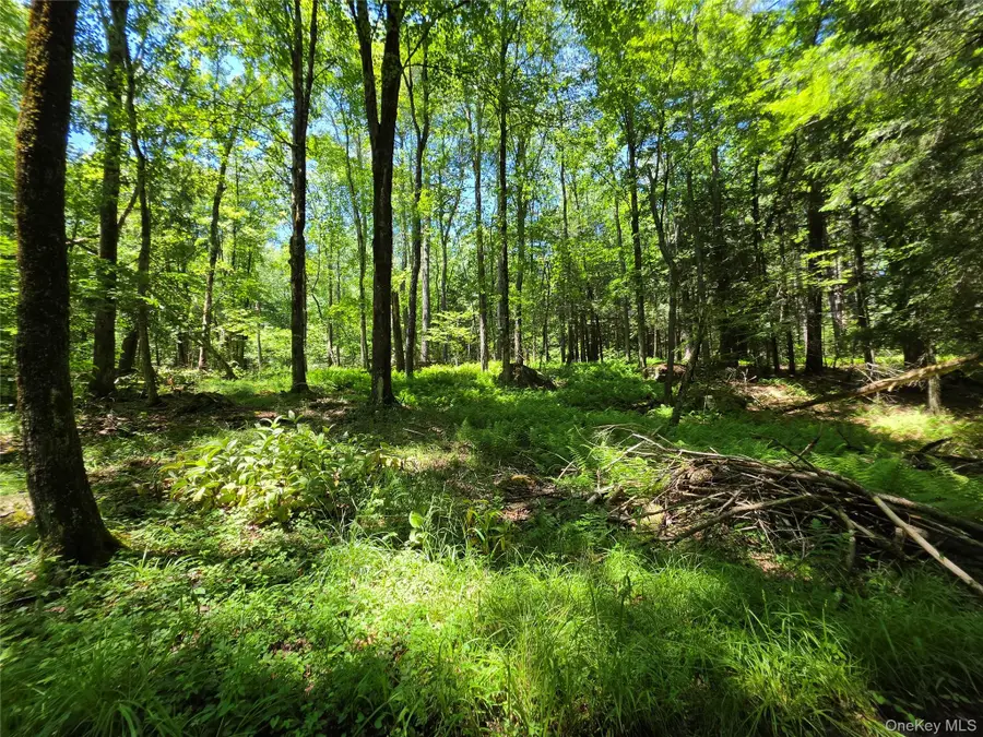 TBD Camp Kennybrook Road, Monticello, NY 12701 - #2