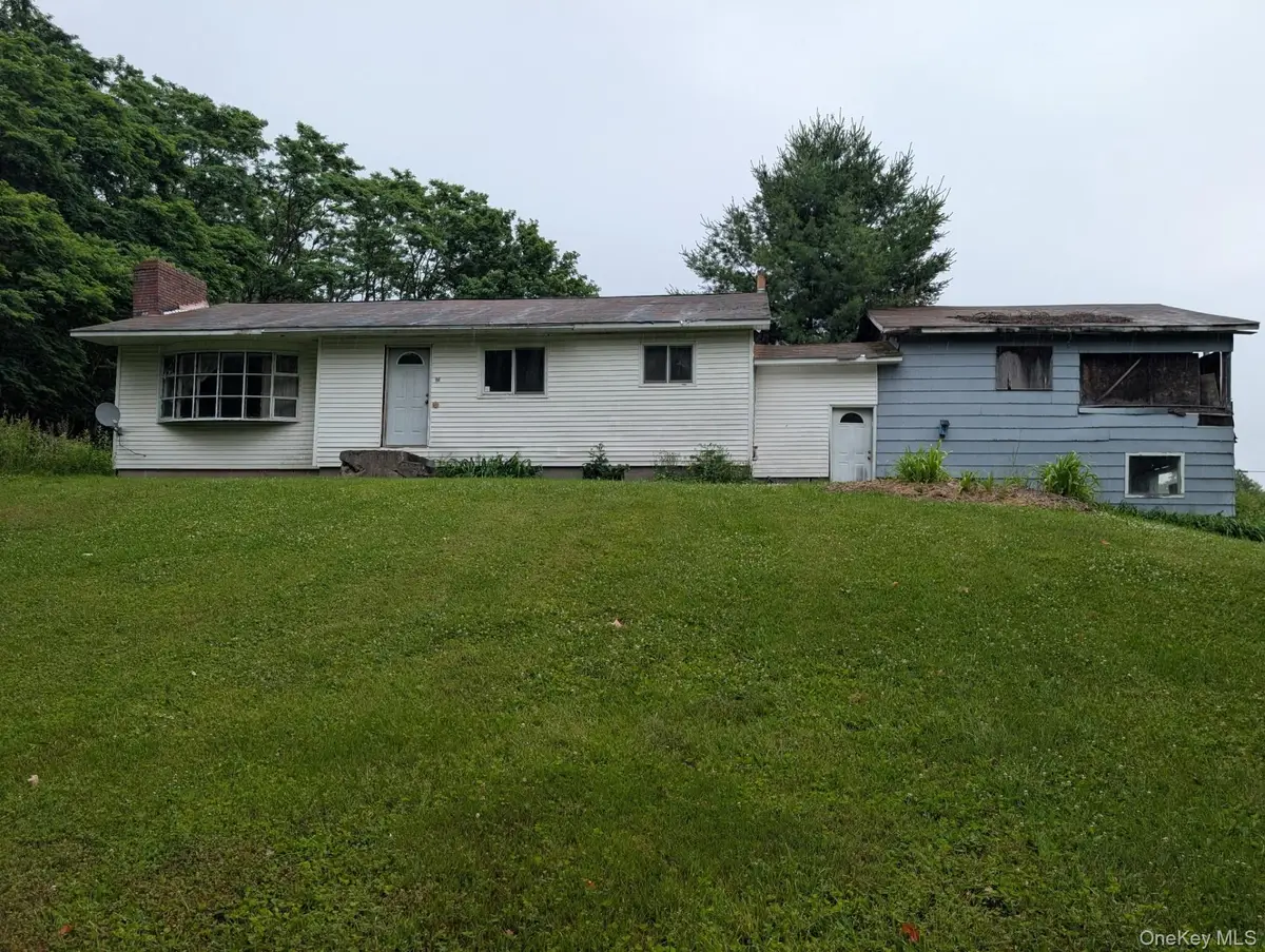 196 Gabriel Road, Cochecton, NY 12726 - #1