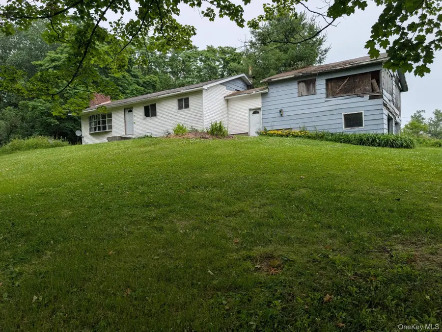 196 Gabriel Road, Cochecton, NY 12726 - #2