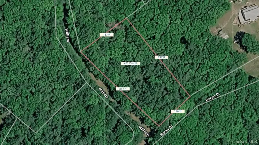 Lot 27 William Street, Glen Spey, NY 12737 - #2