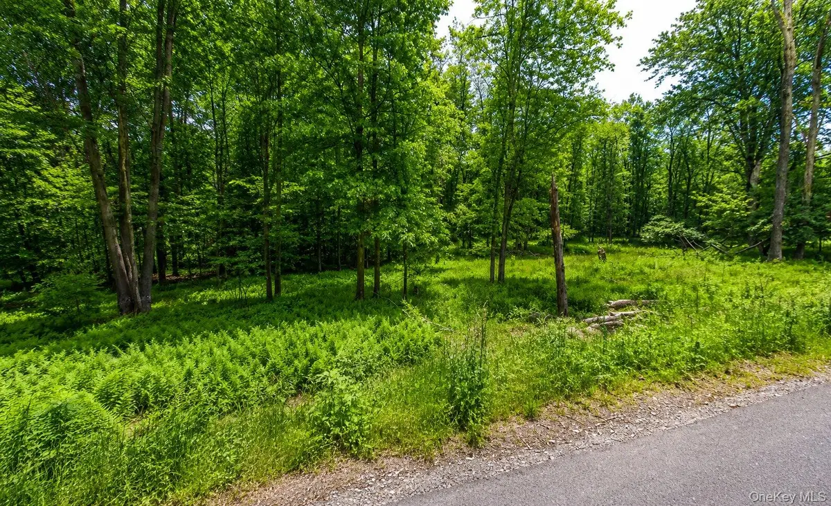 135 Rose Valley, Monticello, NY 12701 - #1