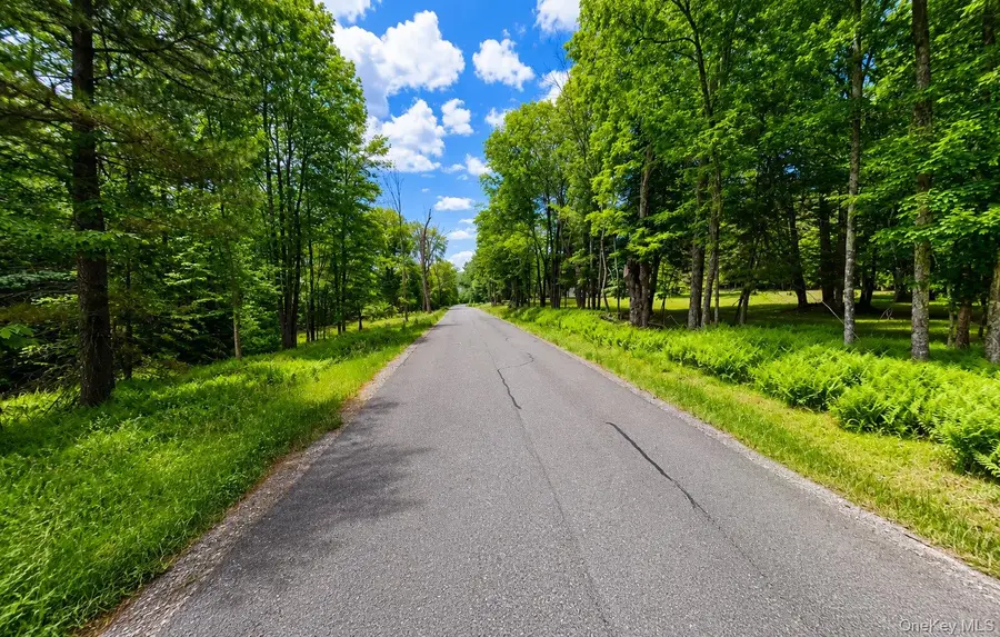 135 Rose Valley, Monticello, NY 12701 - #2