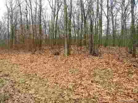 618 Bean River Road, Millerton, NY 12546 - #3