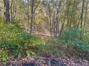 0 Budd Lane, Millerton, NY 12546 - #1