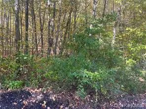 0 Budd Lane, Millerton, NY 12546 - #2