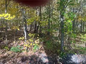 0 Budd Lane, Millerton, NY 12546 - #3