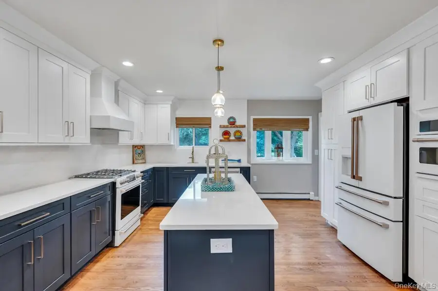 46 Walter Avenue, Hicksville, NY 11801 - #3