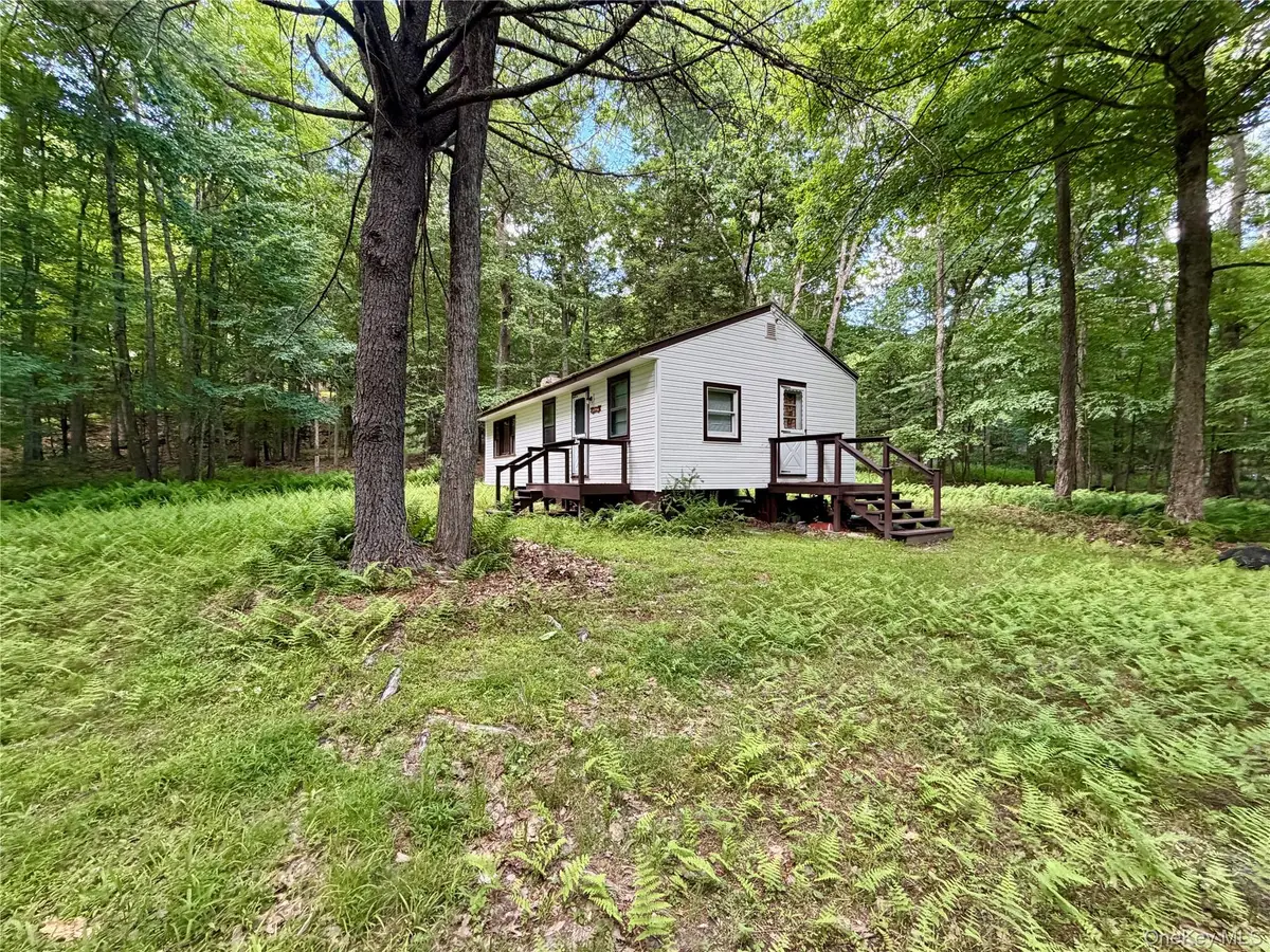 34 Newman Road, Pond Eddy, NY 12770 - #1