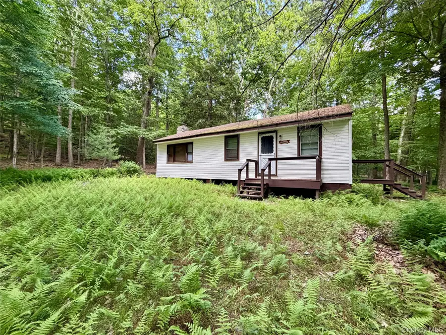 34 Newman Road, Pond Eddy, NY 12770 - #3