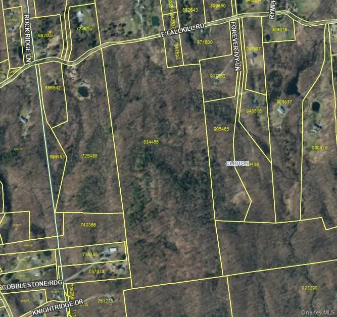 E Fallkill Road, Hyde Park, NY 12538 - #2