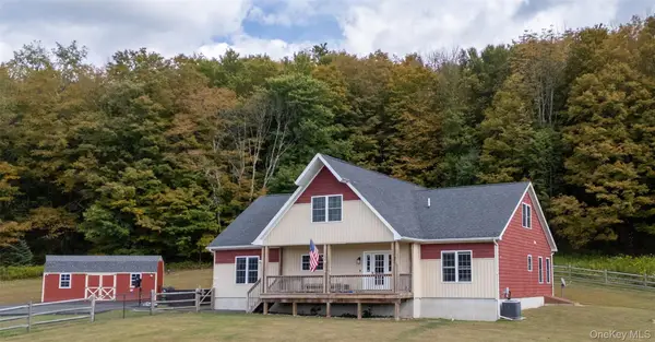 336 County (hankins Rd) Road, Roscoe, NY 12776
