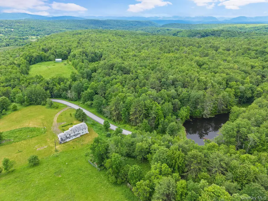 159 Ely Rd, Gilboa Ny, Gilboa, NY 12076 - #2