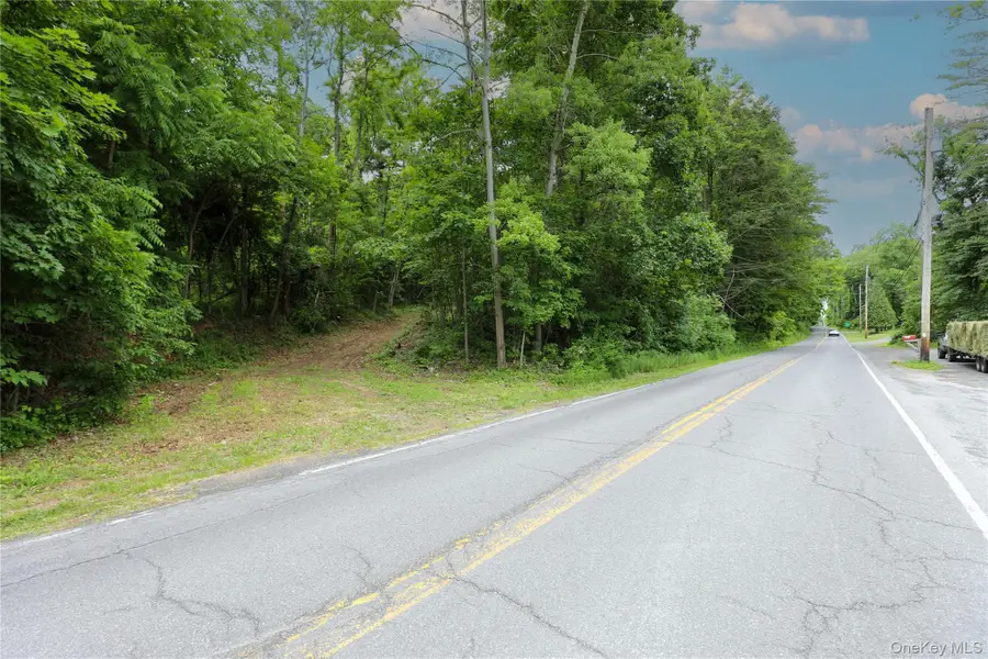 TBD Old Kings Road, Catskill, NY 12414 - #2