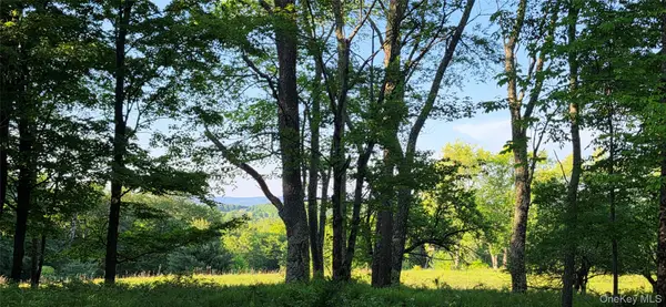 Lot 1.35 W Shore Road, Bethel, NY 12783