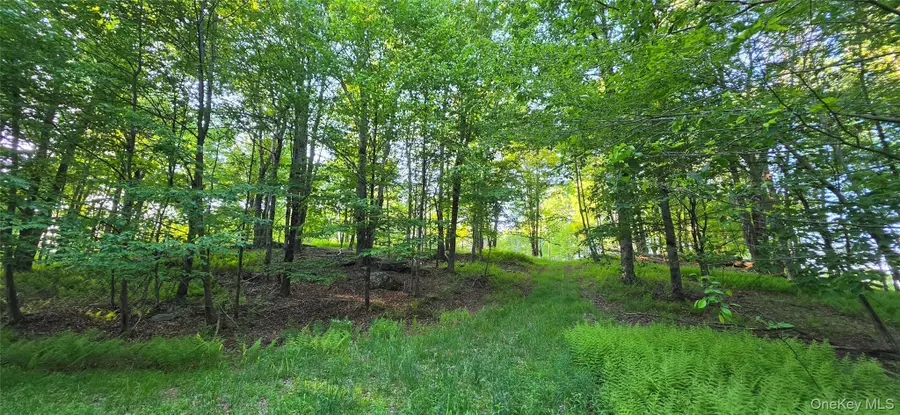 Lot 1.35 W Shore Road, Kauneonga Lake, NY 12783 - #2