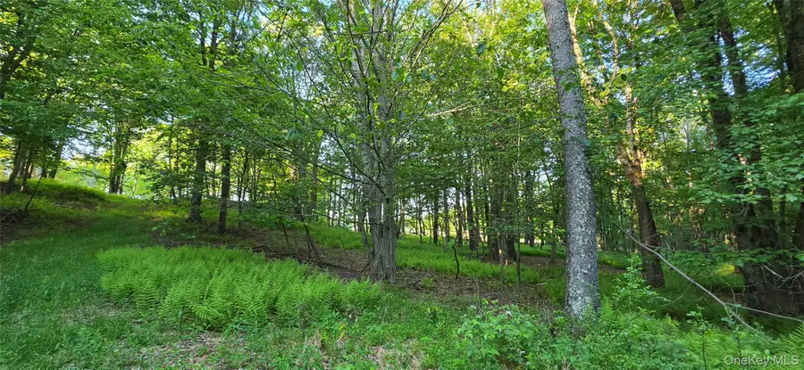 Lot 1.35 W Shore Road, Kauneonga Lake, NY 12783 - #3