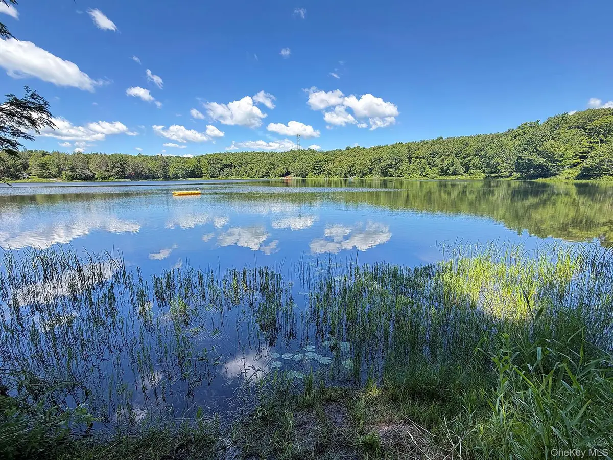 834 Delaware Lake Road, Hancock, NY 13783 - #1