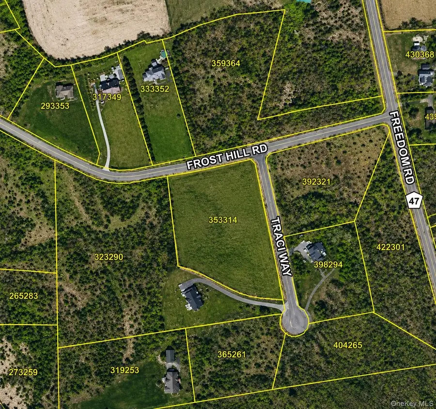 Traci Way, Pleasant Valley, NY 12569 - #2
