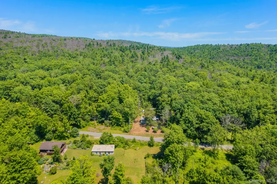 296 Irish Cape Road, Napanoch, NY 12458 - #2