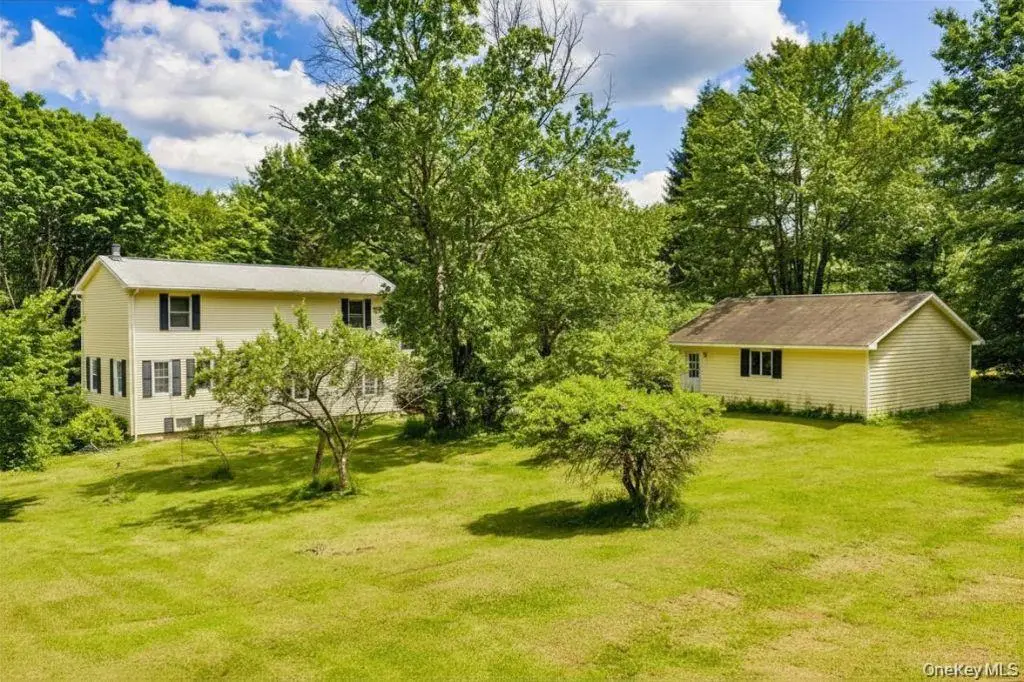 10 Hoffman Road, Hankins, NY 12741 - #1