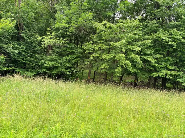 T R 84, Fremont Center, NY 12736