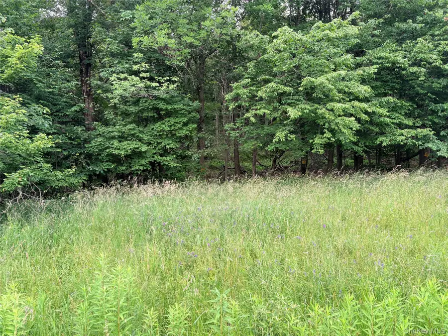 T R 84, Fremont Center, NY 12736 - #2