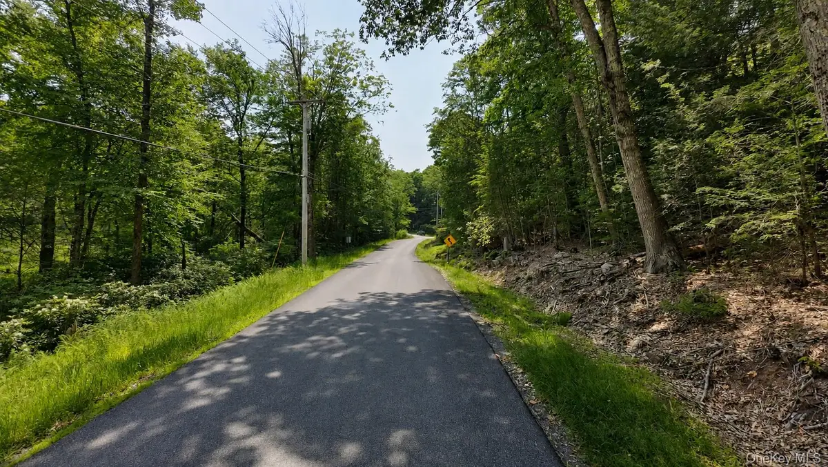 Taylor Road, Mountain Dale, NY 12763 - #1