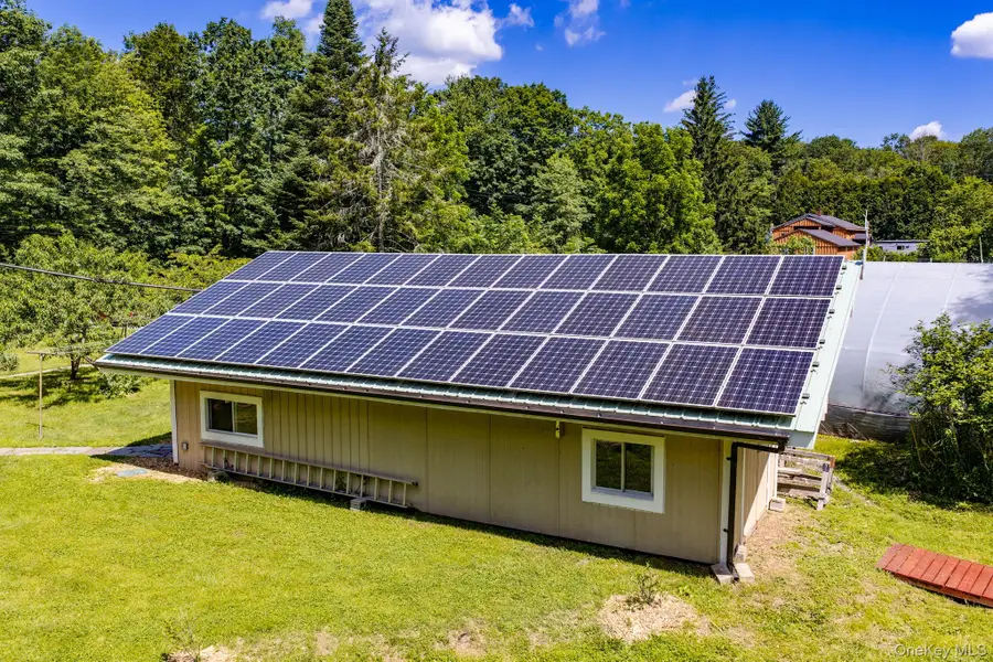 64 & 68 Mineral Springs Road, Livingston Manor, NY 12758 - #3