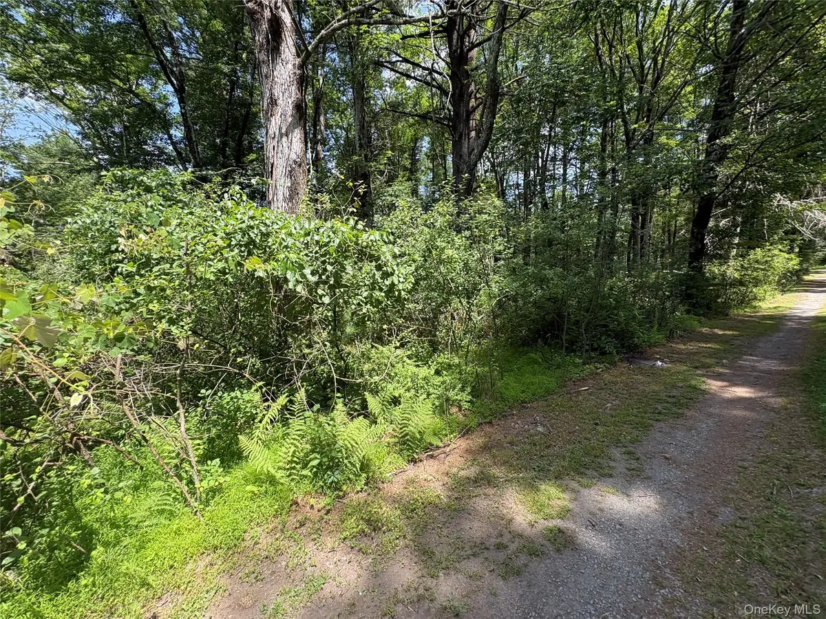 Belair Road, Glen Spey, NY 12737 - #1