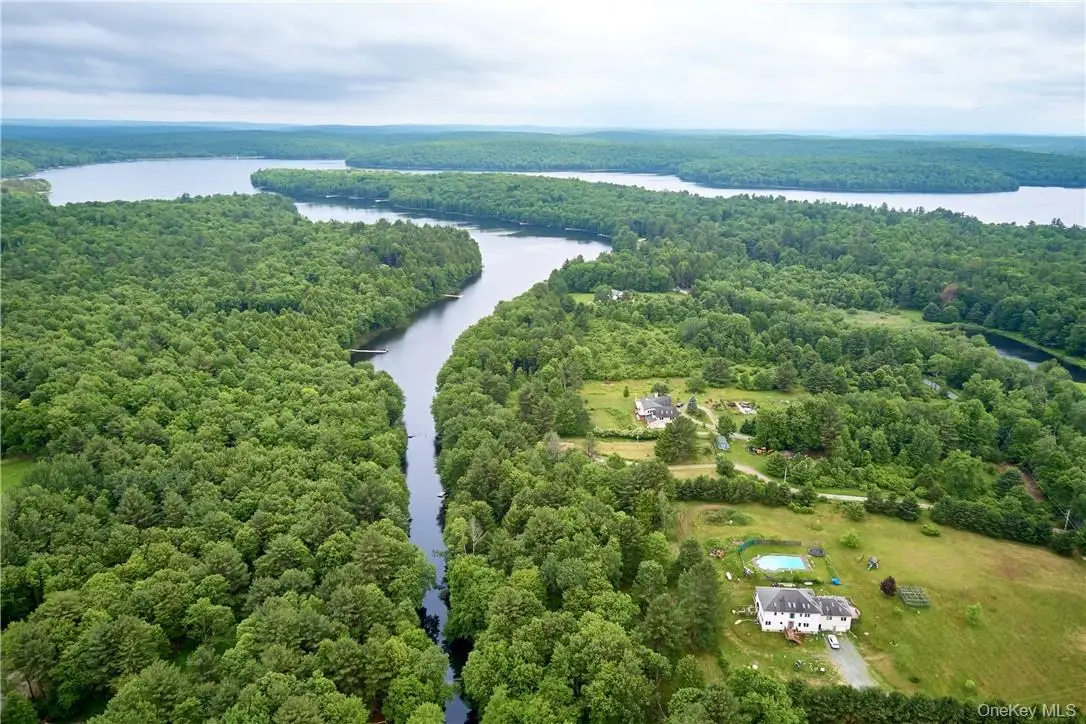 Tbd Chapin Trail, White Lake, NY 12786 - #1