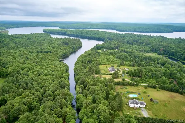 Tbd Chapin Trail, White Lake, NY 12786