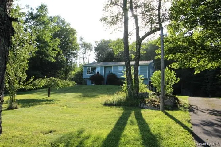 545 Stump Pond Road, Livingston Manor, NY 12758 - #1