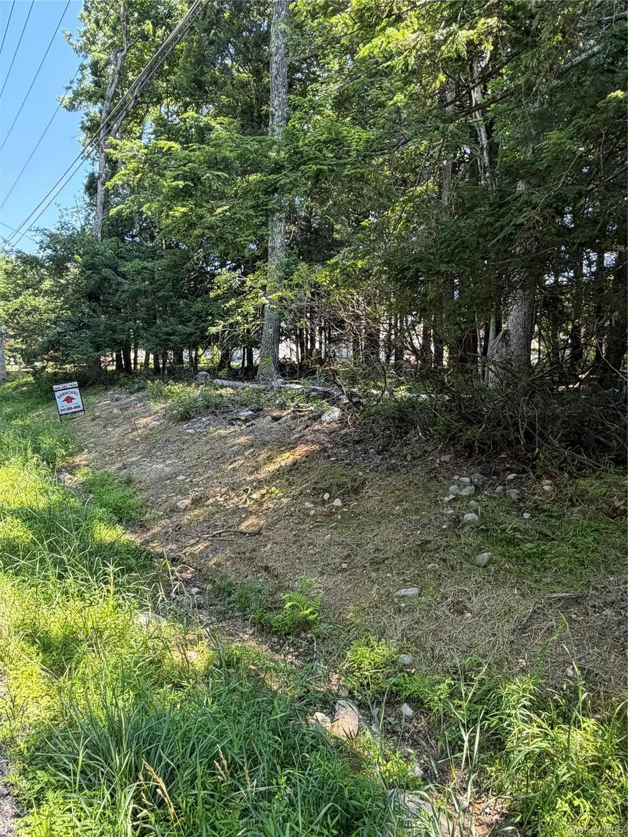 County Route 56, Wurtsboro, NY 12790 - #3
