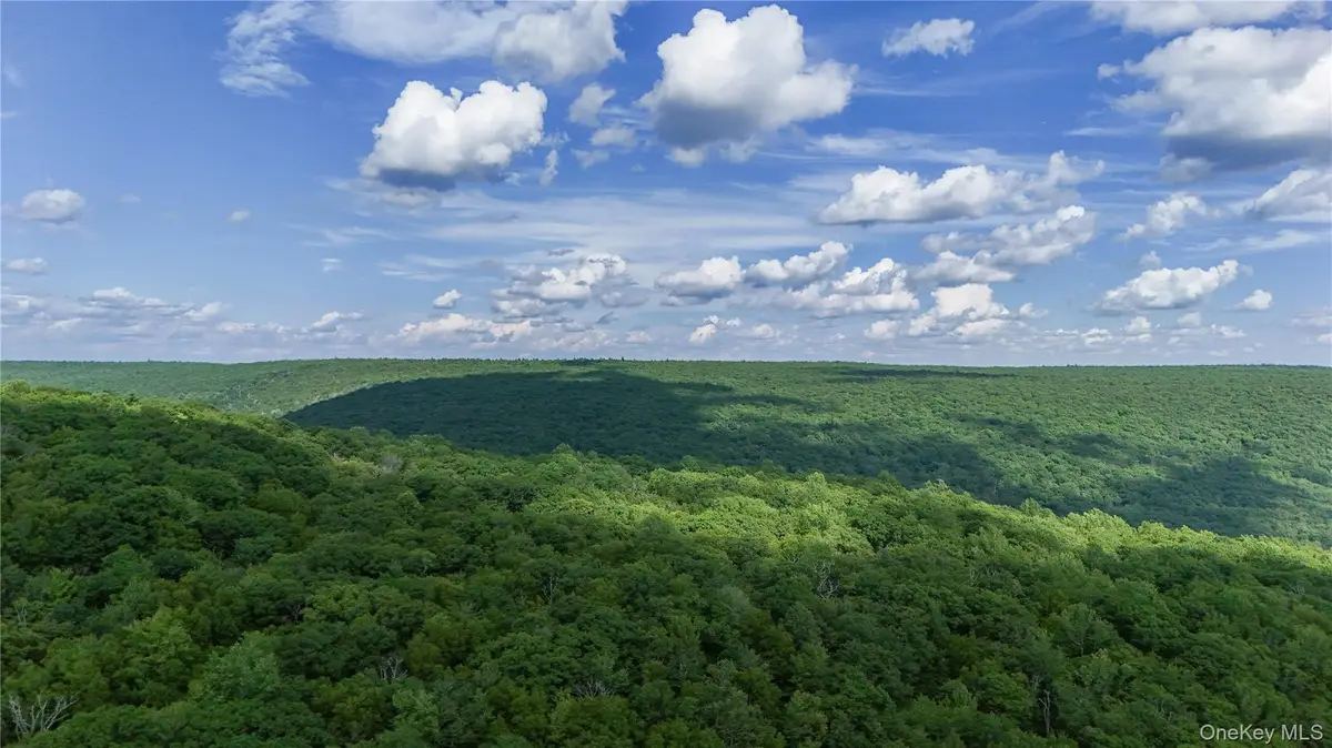 X Wilderness Trail, Forestburgh, NY 12777 - #1