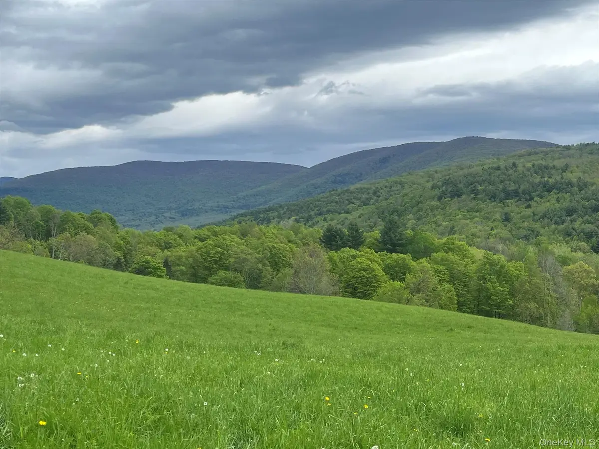 Route 23a, Prattsville, NY 12468 - #1