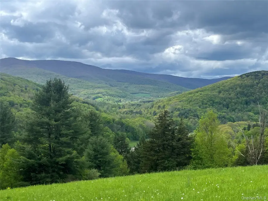 Route 23a, Prattsville, NY 12468 - #2