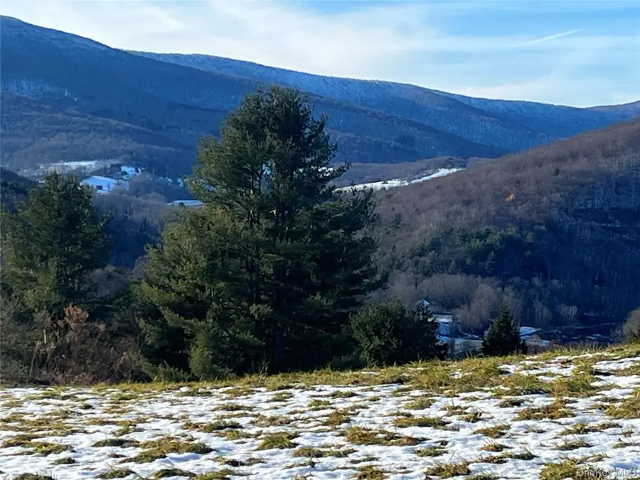 Route 23a, Prattsville, NY 12468 - #3