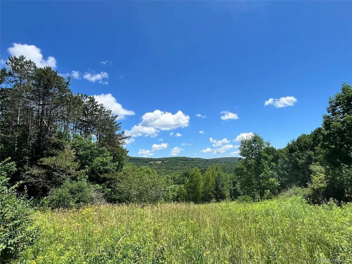Lower Pond Dahlia Road W, Livingston Manor, NY 12758 - #1