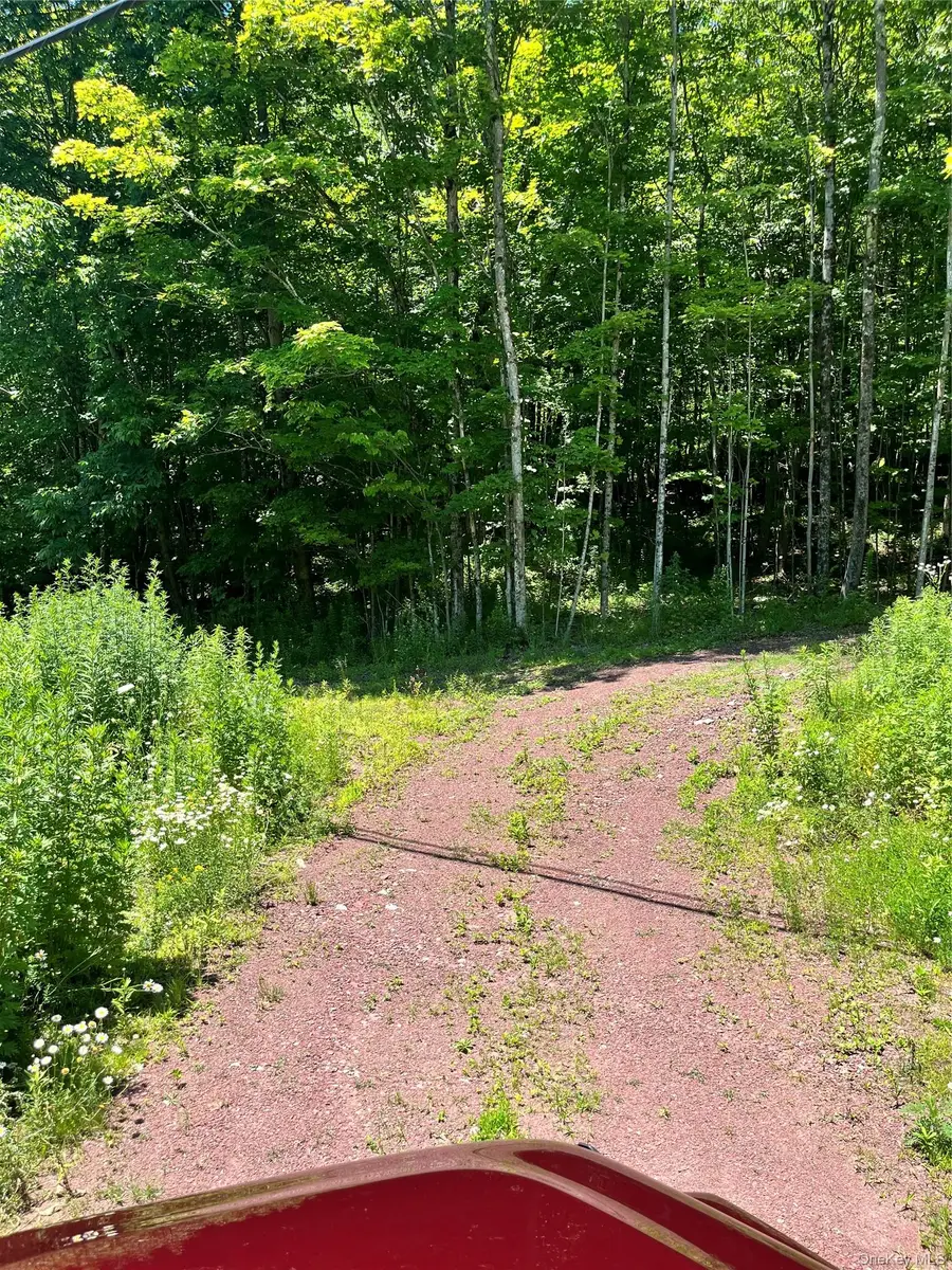 Lower Pond Dahlia Road W, Livingston Manor, NY 12758 - #2
