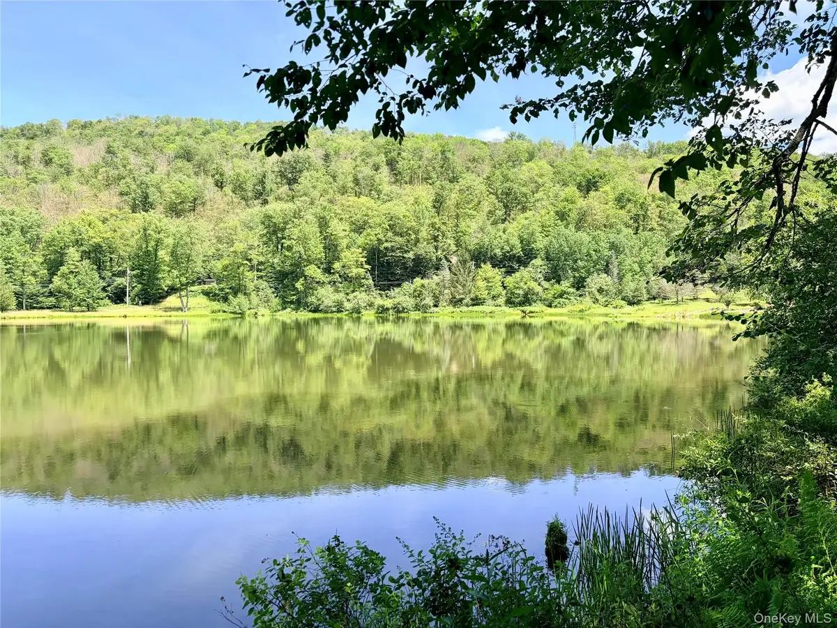 Doyle Road, Roscoe, NY 12776 - #1