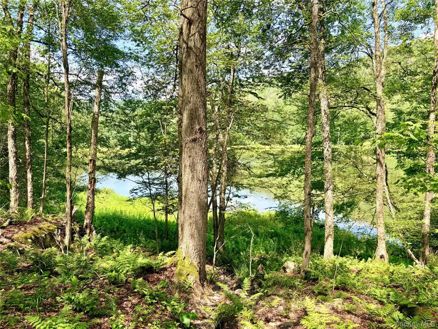 Doyle Road, Roscoe, NY 12776 - #3