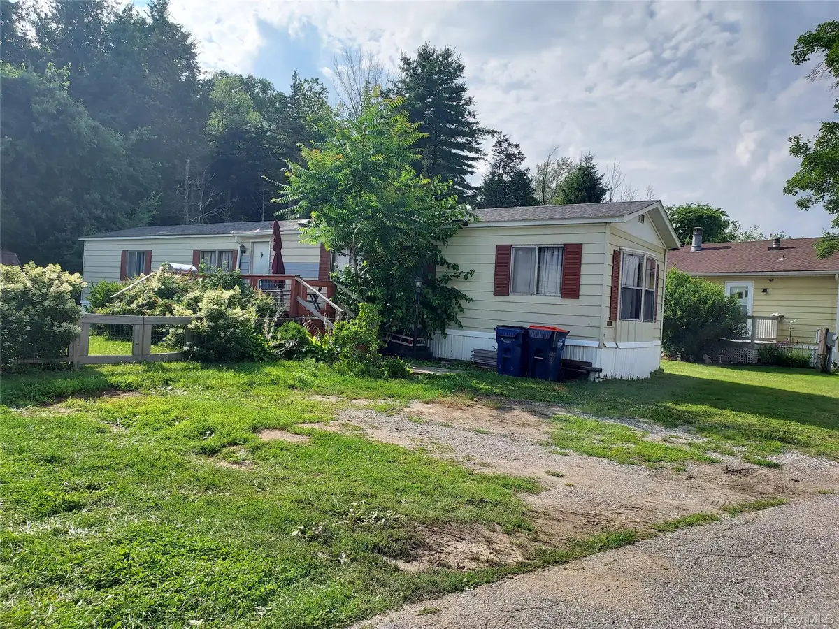 198 Sinpatch Road #Lot 42, Wassaic, NY 12592 - #1