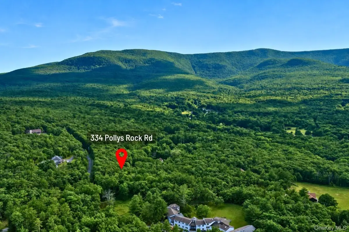 334 Pollys Rock Road, Round Top, NY 12473 - #1