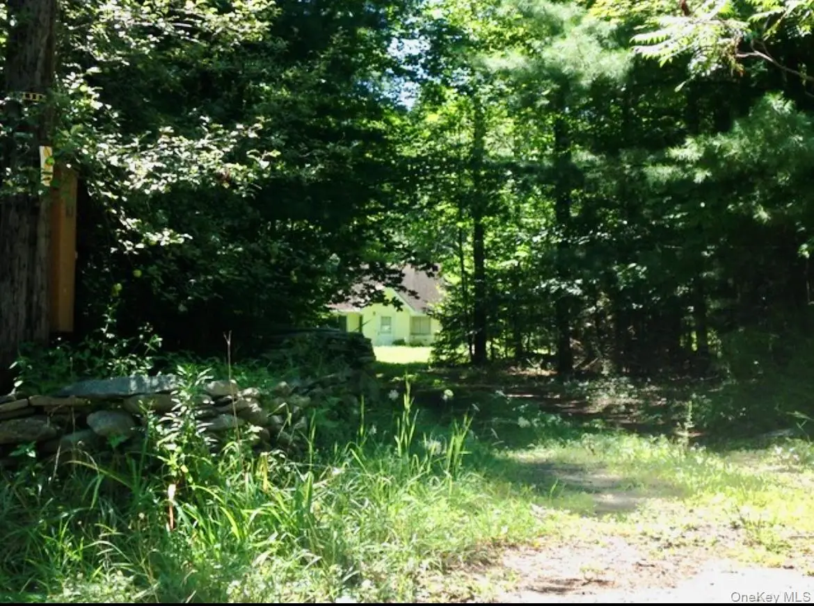 143 Mountaindale Road, Greenfield Park, NY 12435 - #1