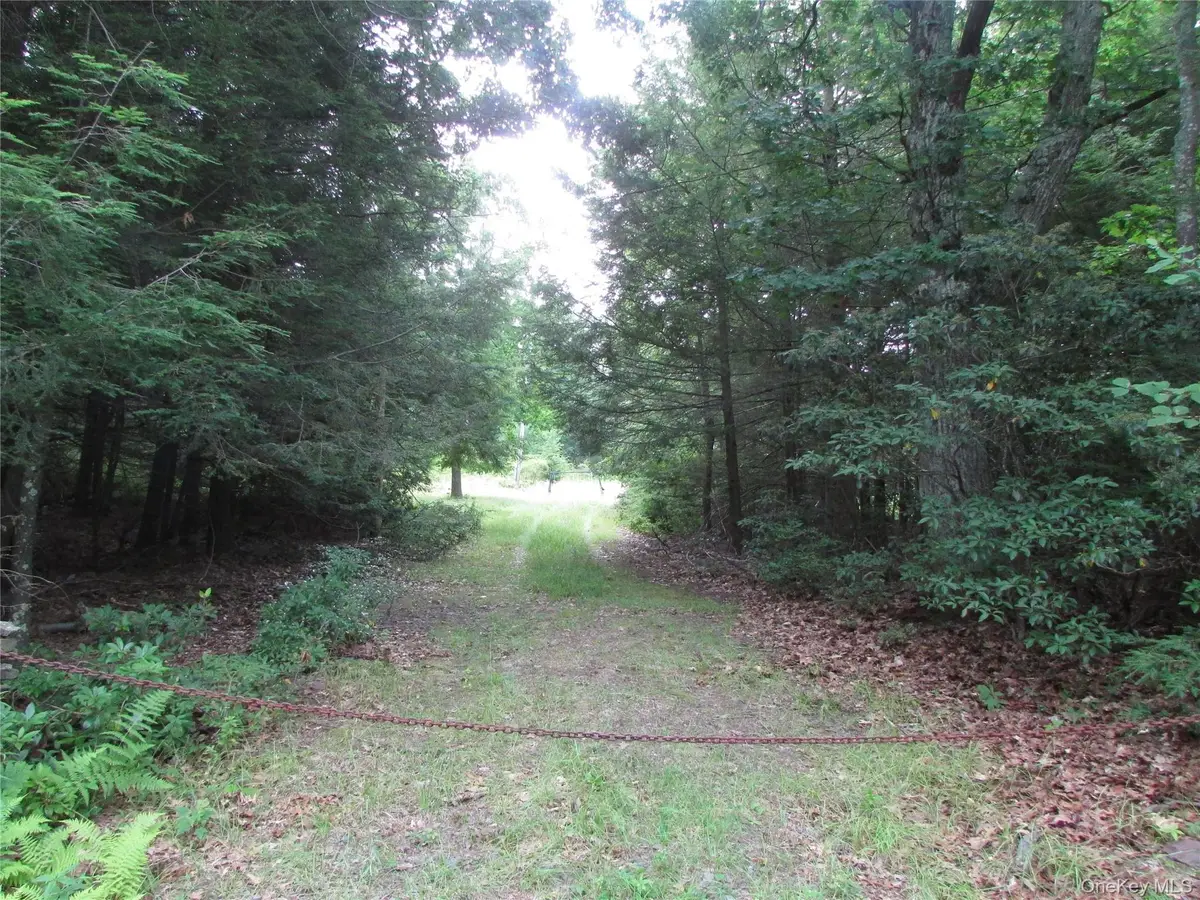 Fox Hill Road Tr 55, Mountain Dale, NY 12733 - #1