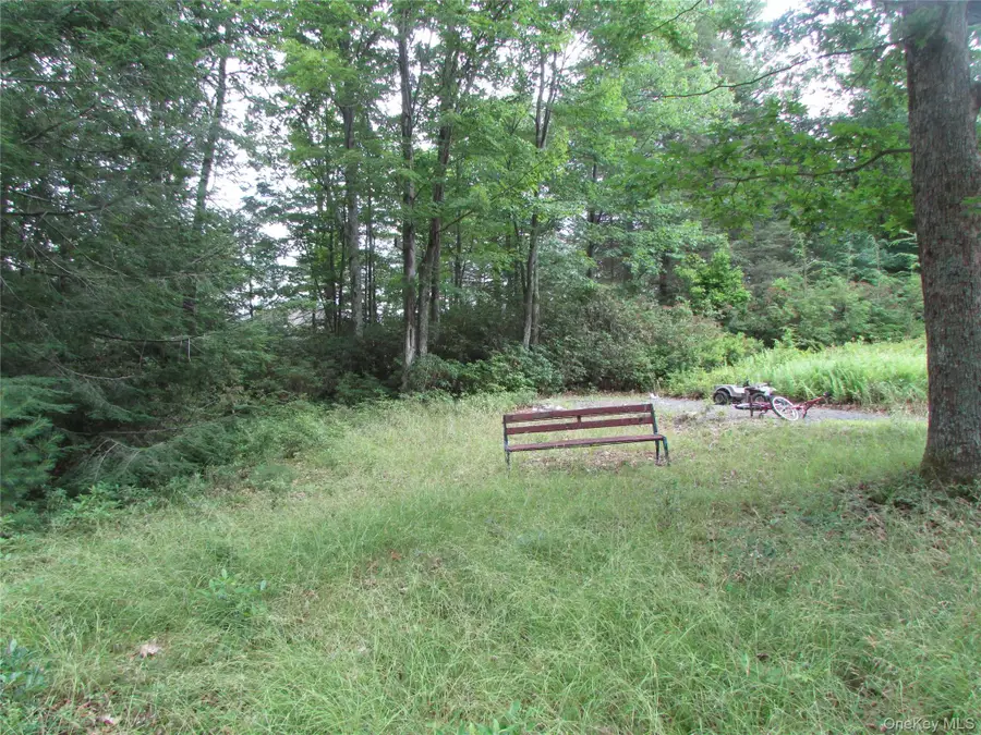 Fox Hill Road Tr 55, Mountain Dale, NY 12733 - #3