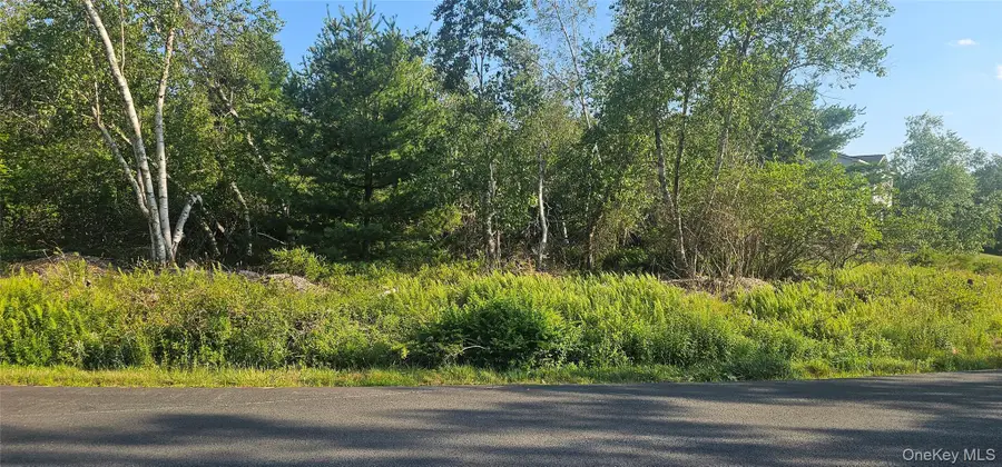 Club Lane, Rock Hill, NY 12775 - #2