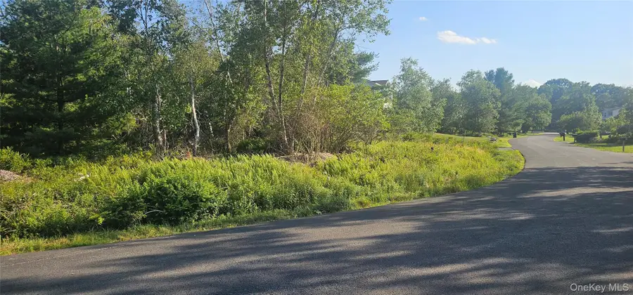 Club Lane, Rock Hill, NY 12775 - #3